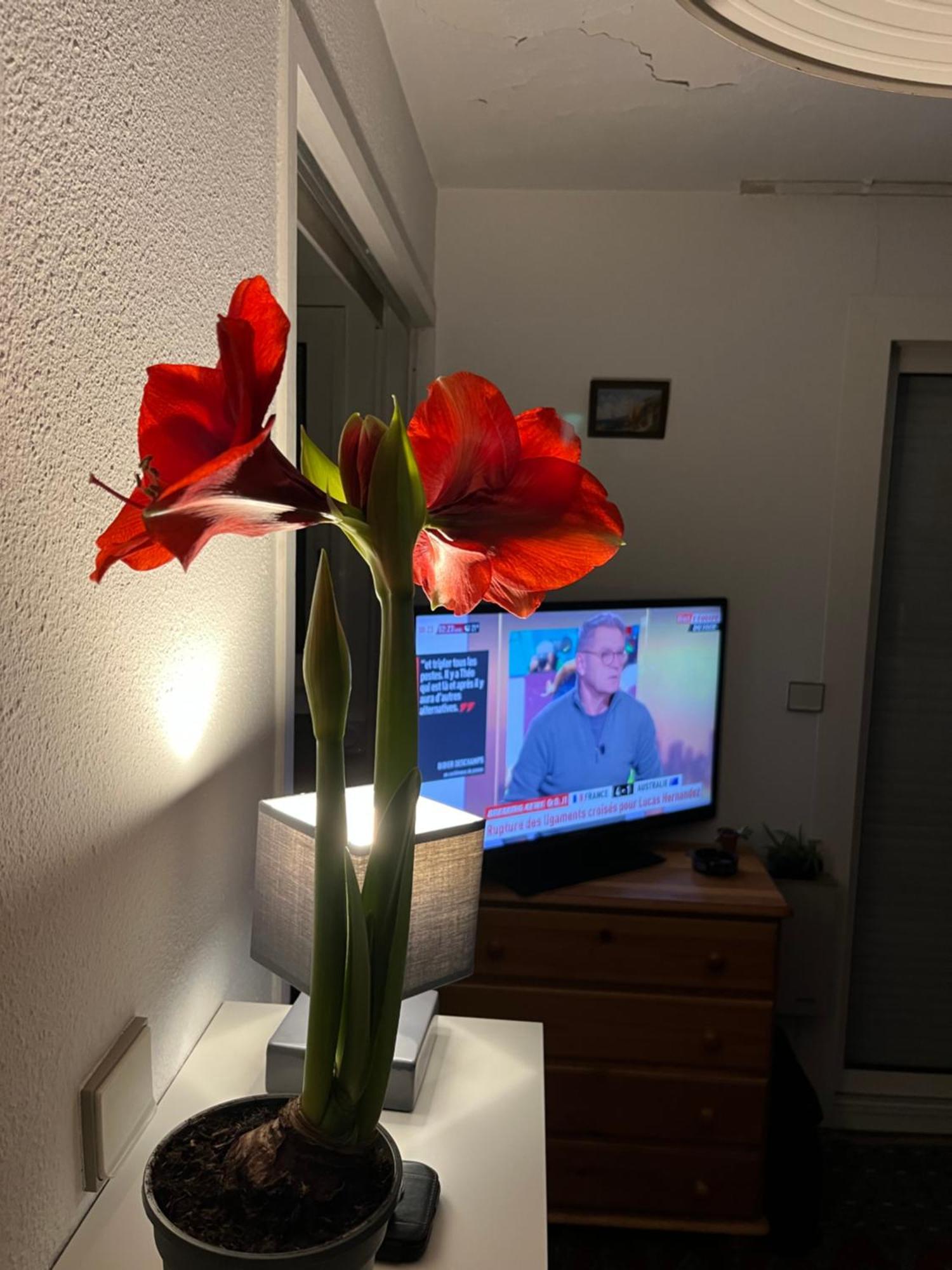 Appartement 34300 Le Cap D'Agde Extérieur photo